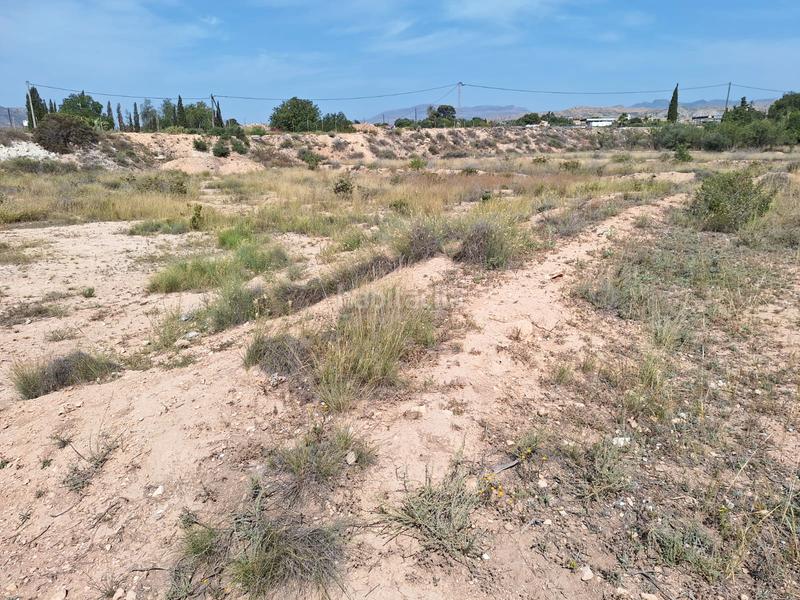 Foto 14700b02-cd58-4d12-a230-4e94fa398c21. Fondo rustico in carretera agost-urbs 28b in Moralet Alicante