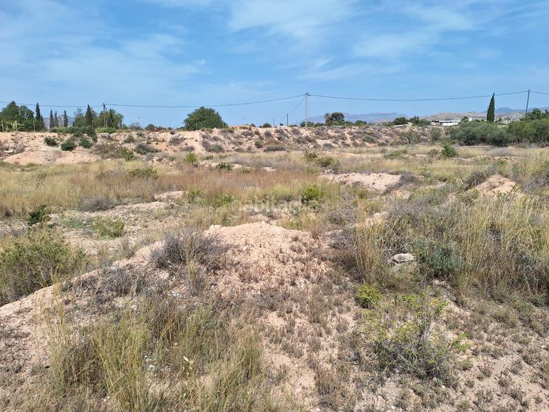 Foto 19a344dc-d0c6-4704-80a4-c5f96da7f900. Fondo rustico in carretera agost-urbs 28b in Moralet Alicante