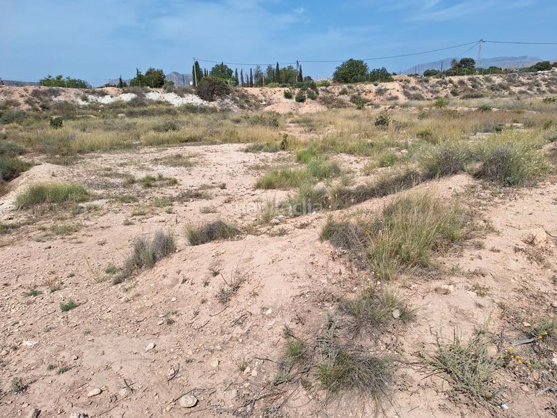 Foto 1ef5984a-fe29-4d1f-bd15-6de1f4985fb3. Fondo rustico in carretera agost-urbs 28b in Moralet Alicante