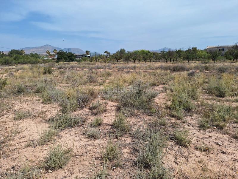 Foto 33d297f7-e135-41a0-895b-de556dc3af06. Fondo rustico in carretera agost-urbs 28b in Moralet Alicante