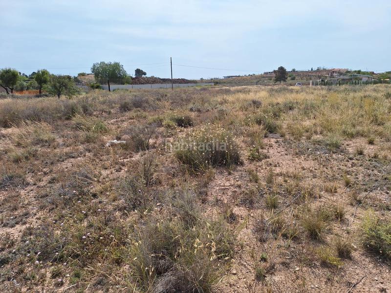 Foto 702b0a36-3436-4046-8e88-bafc31c27786. Fondo rustico in carretera agost-urbs 28b in Moralet Alicante