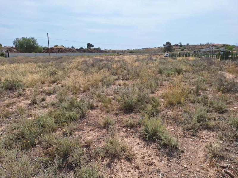 Foto 7f759db1-3f5b-471a-a9a8-d3e69fbbb47f. Fondo rustico in carretera agost-urbs 28b in Moralet Alicante