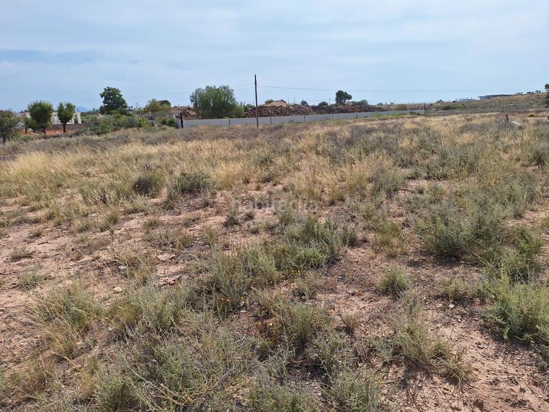 Foto 91a43610-9403-49e8-bbe4-0f026e6379b5. Fondo rustico in carretera agost-urbs 28b in Moralet Alicante