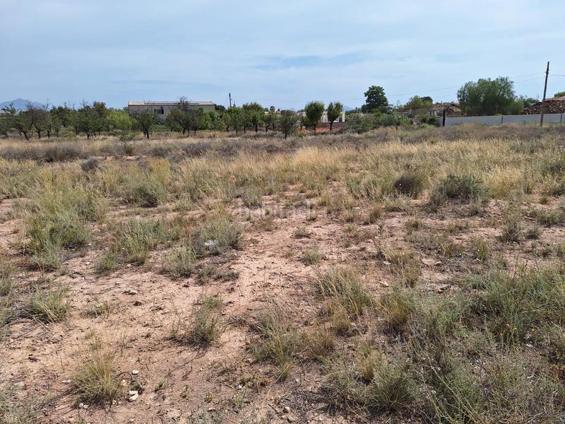 Foto fcad067e-af0f-40db-8518-8321765d4295. Fondo rustico in carretera agost-urbs 28b in Moralet Alicante