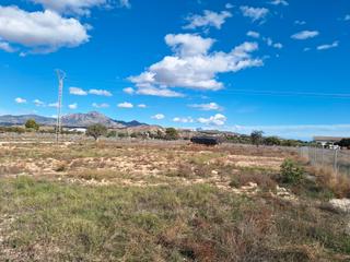 Landgut in La Huerta. Oportunidad muy interesante¡¡¡¡¡¡