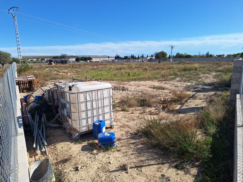 Foto 99d552fd-988e-4ebf-b541-a6157bcbfa92. Finca rústica a La Huerta Mutxamel