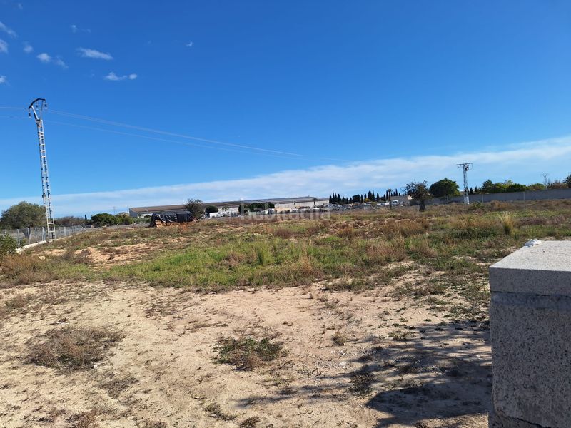 Foto c52fe3c4-1e39-42e2-a39a-ea8017bbbdba. Finca rústica a La Huerta Mutxamel