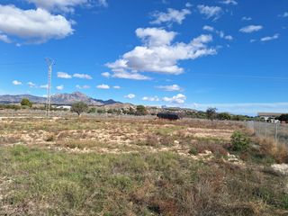 Finca rústica a La Huerta. Oportunidad parcela con proyecto casa y agua potable¡¡¡¡¡