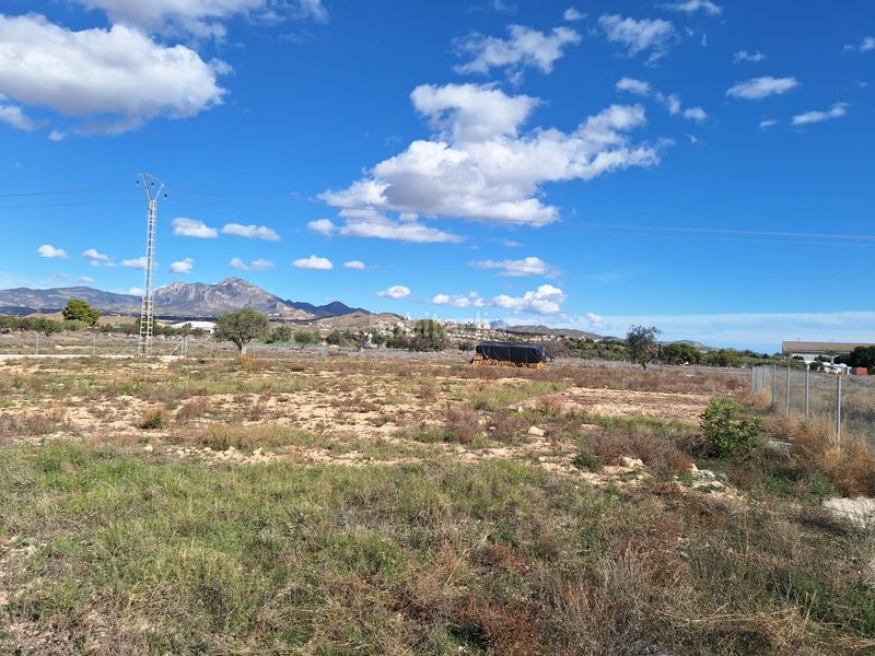 Foto e588ceb6-7a49-451a-a9f5-7024271194e1. Finca rústica a La Huerta Mutxamel