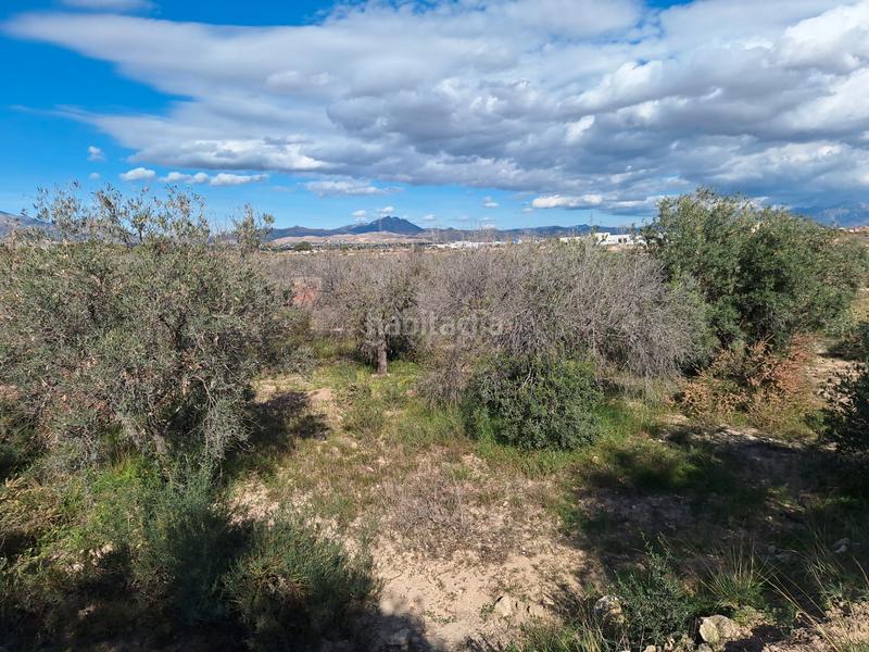 Foto 11fc47fd-7866-42ab-a2f5-88d1c327922e. Masia amb xemeneia a Fontcalent Alicante