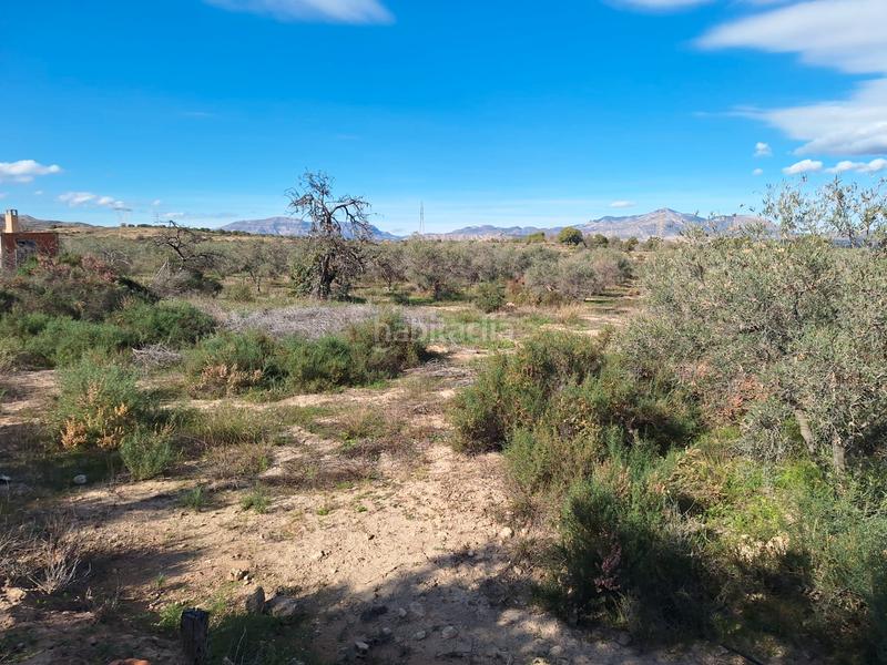 Foto 246cdfaa-0fe3-4793-808a-ed72f255fb76. Masia amb xemeneia a Fontcalent Alicante