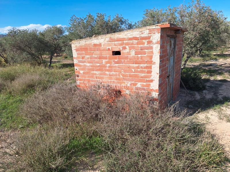 Foto 2840cfa6-4673-4277-8c75-c70179de12db. Masia amb xemeneia a Fontcalent Alicante