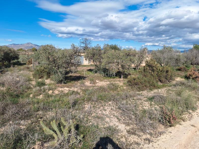 Foto 291bf643-42d6-4647-8c79-c4d3373d045a. Masia amb xemeneia a Fontcalent Alicante