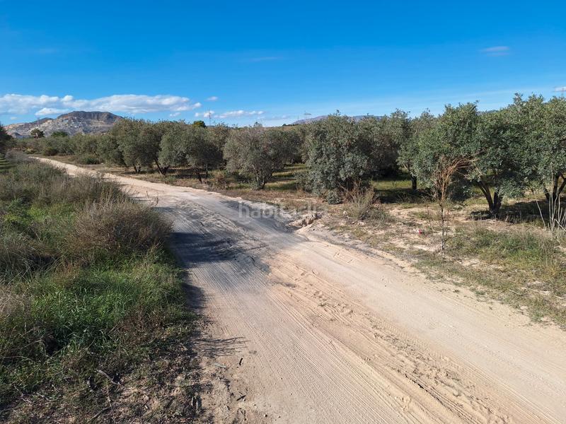 Foto 30881485-b550-4e84-91aa-1bd61589c9b0. Masia amb xemeneia a Fontcalent Alicante