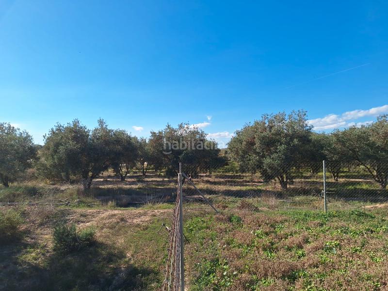 Foto c389336f-eb9c-4db1-a46d-91bcecf8f6f3. Masia amb xemeneia a Fontcalent Alicante