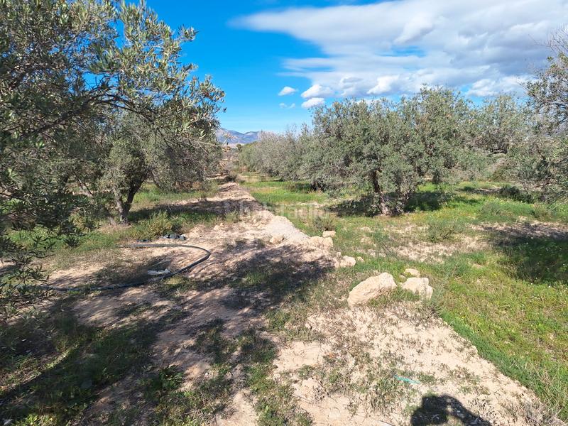 Foto c3f37360-1f99-45df-b282-b27c2ae08b52. Masia amb xemeneia a Fontcalent Alicante