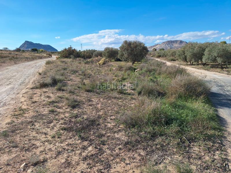 Foto cee33a9c-09eb-4443-8edb-1018b8d06595. Masia amb xemeneia a Fontcalent Alicante