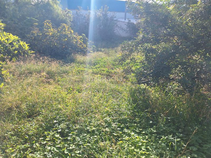 Foto 92ebf35e-d446-42dd-8748-62148ee72bd1. Haus in Villamontes-Boqueres Sant Vicent del Raspeig