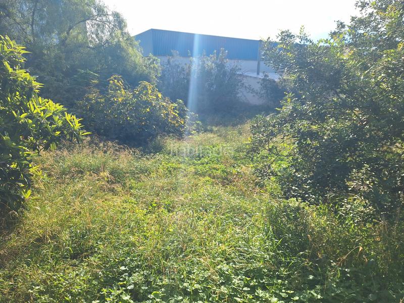 Foto d116fb87-433d-43f9-bd88-cb076710d7c4. Haus in Villamontes-Boqueres Sant Vicent del Raspeig