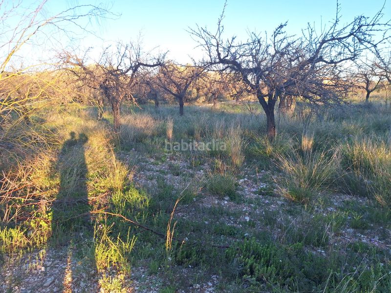 Foto 4a4d5ac9-bf19-4041-8f69-4ec5f1ae7722. Finca rústica a Villamontes-Boqueres Sant Vicent del Raspeig