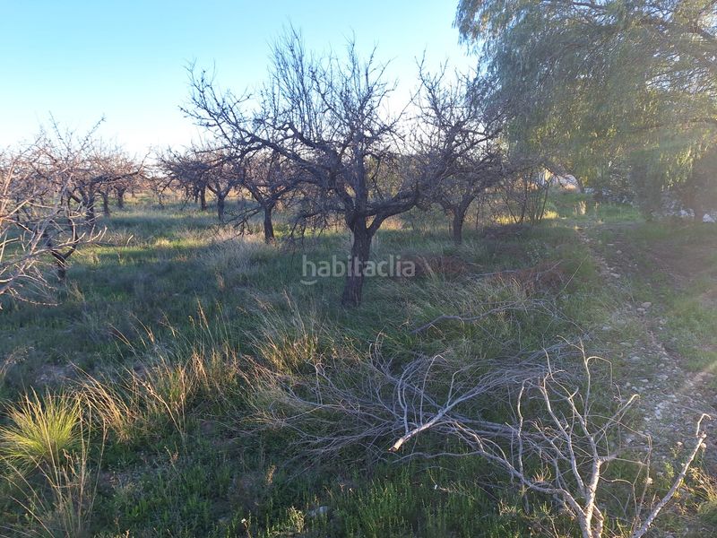 Foto 4e5b6994-ab70-45c0-a7fa-1883889b721f. Finca rústica a Villamontes-Boqueres Sant Vicent del Raspeig