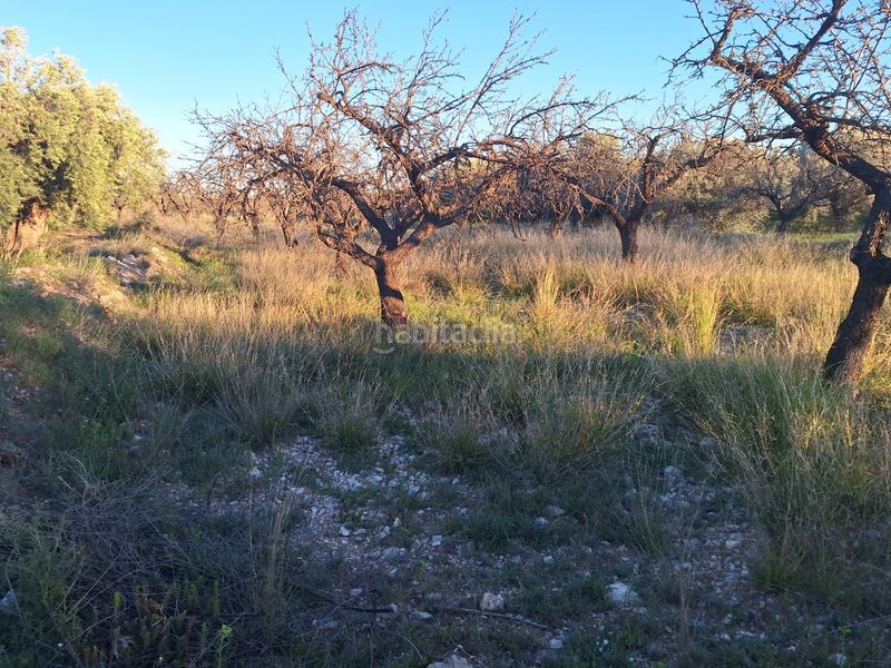 Foto d1136f78-c933-423f-842e-c00b9654caeb. Finca rústica a Villamontes-Boqueres Sant Vicent del Raspeig