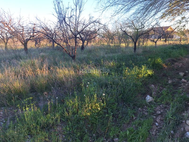 Foto db7bdaea-7a6f-46c0-9e80-9984406a37cf. Finca rústica a Villamontes-Boqueres Sant Vicent del Raspeig