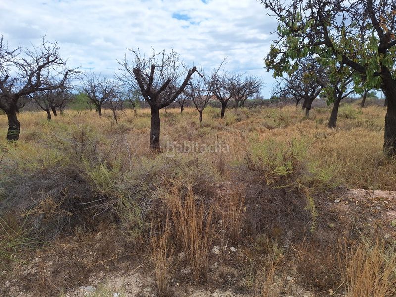 Foto 39d98eb9-4f28-4f57-b38f-53d542b94827. Finca rústica a Villamontes-Boqueres Sant Vicent del Raspeig