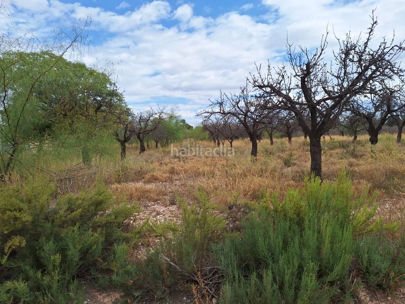 Foto 75bfcb34-fd49-40e0-809a-b4d840adf00d. Finca rústica a Villamontes-Boqueres Sant Vicent del Raspeig