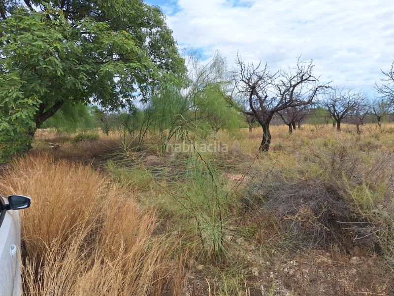 Foto 80a7c3da-f8d4-4adc-b196-63ed491098fd. Finca rústica a Villamontes-Boqueres Sant Vicent del Raspeig