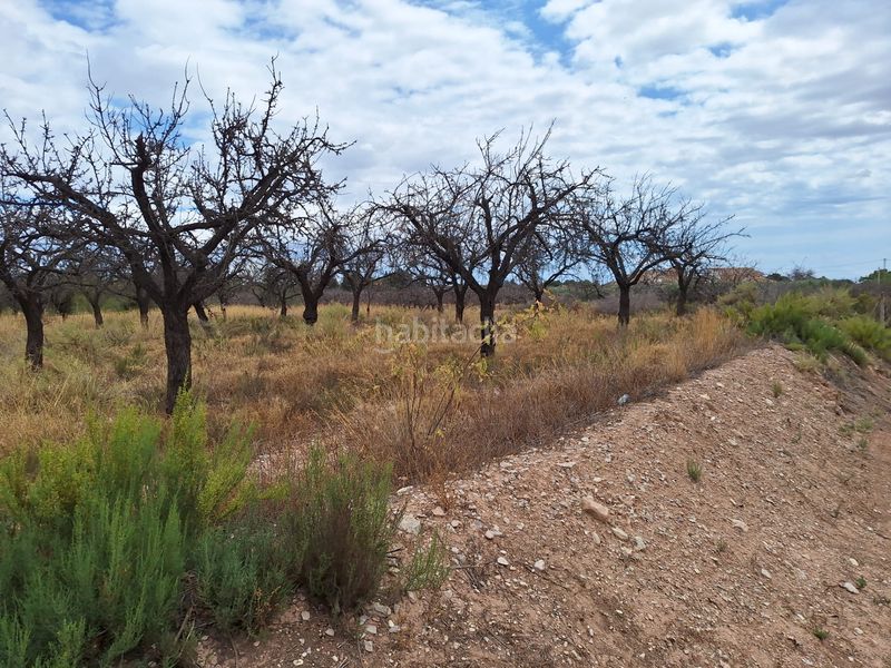 Foto d376dc96-7dad-417b-9971-4cdf39f72d4b. Finca rústica a Villamontes-Boqueres Sant Vicent del Raspeig