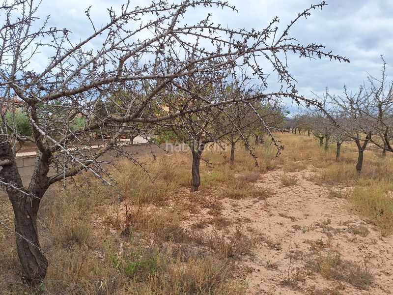 Foto eb8b2f68-c989-4ccf-8d4d-4500d4dbe2d0. Finca rústica a Villamontes-Boqueres Sant Vicent del Raspeig