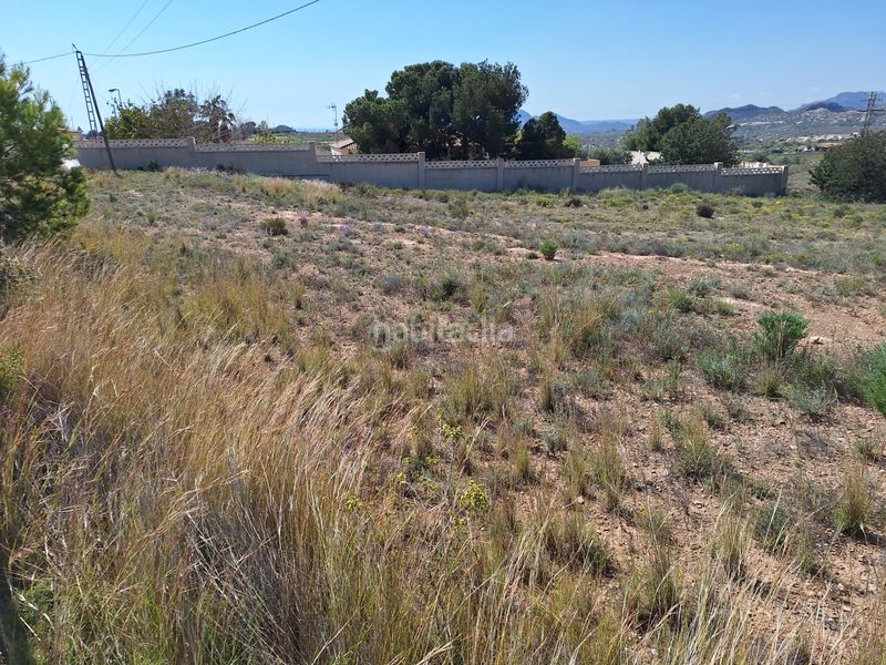 Foto 367a01b8-bfc9-4c62-b8f6-d733f04d7a64. Finca rústica a Moralet Alicante