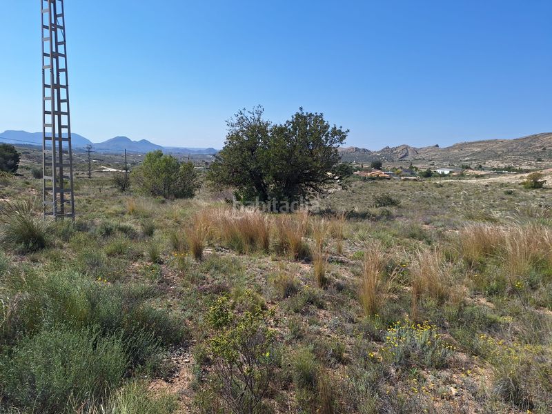 Foto 39bfc756-9c6f-4190-854a-e6a8c1a72b6f. Finca rústica a Moralet Alicante