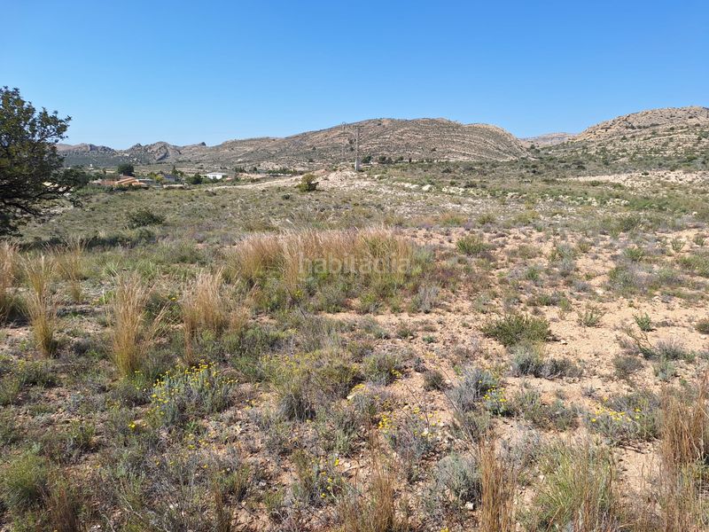 Foto 3cae0e3d-86d2-4d46-9ca7-dd8a10274a65. Finca rústica a Moralet Alicante