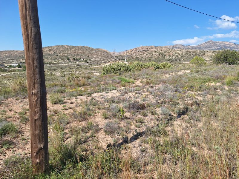 Foto 3d59f58c-6dcd-4015-9b7a-c301fa333fd8. Finca rústica a Moralet Alicante