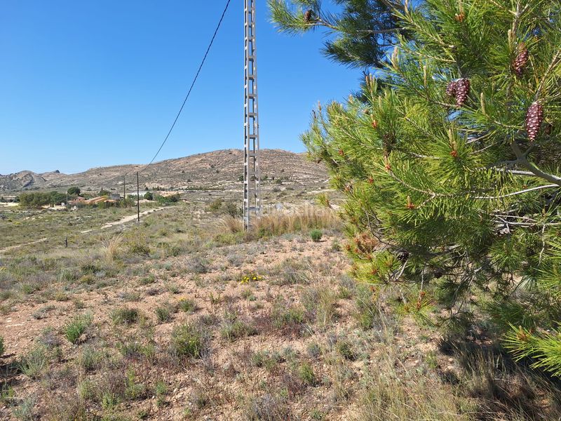 Foto 5afefecb-72b8-4d3a-bbc6-f4e1a5074a6a. Finca rústica a Moralet Alicante