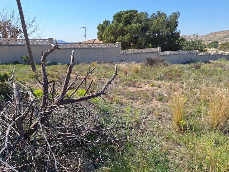 Foto 66363e11-774e-4e62-a41b-f3990c595939. Finca rústica a Moralet Alicante