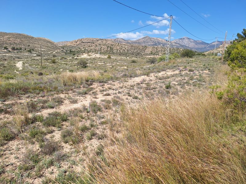 Foto b0c0d14c-7498-4620-ad94-55fb7f7076a0. Finca rústica a Moralet Alicante