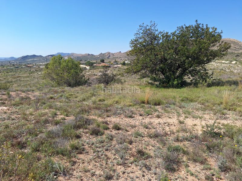 Foto e8d25fac-2042-4211-bf52-f2c0980063b3. Finca rústica a Moralet Alicante