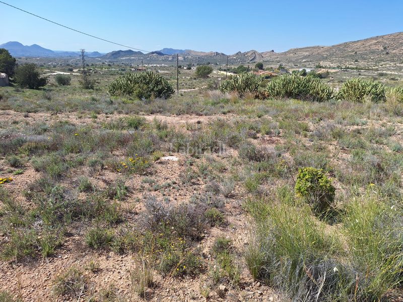 Foto e93fb9de-02c1-4e09-b043-213c43abce72. Finca rústica a Moralet Alicante