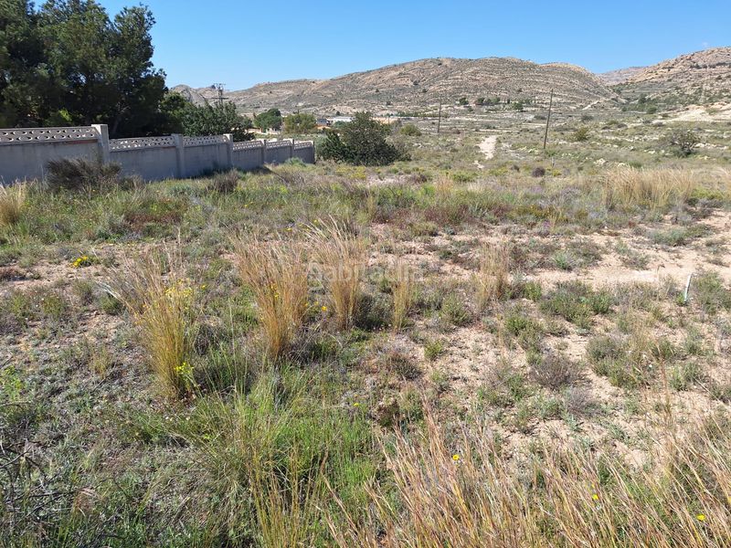 Foto ed3f74b8-4c50-4728-b464-28543c8aee16. Finca rústica a Moralet Alicante