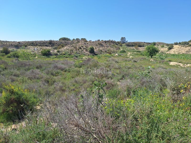 Foto 44ca6601-da64-4b4c-bb61-f962a3f83f9c. Finca rústica a Monforte del Cid