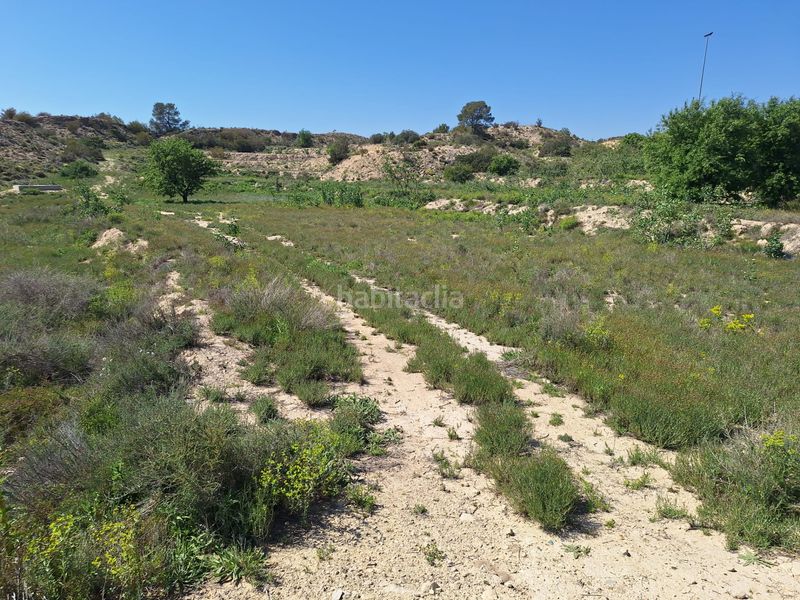 Foto 50184c36-22a5-47f8-8ee7-af8f84acfed3. Finca rústica a Monforte del Cid