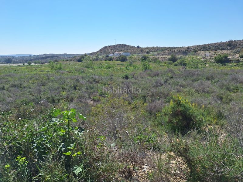 Foto 5464ff03-1829-4a41-bd6f-2b78f042136d. Finca rústica a Monforte del Cid