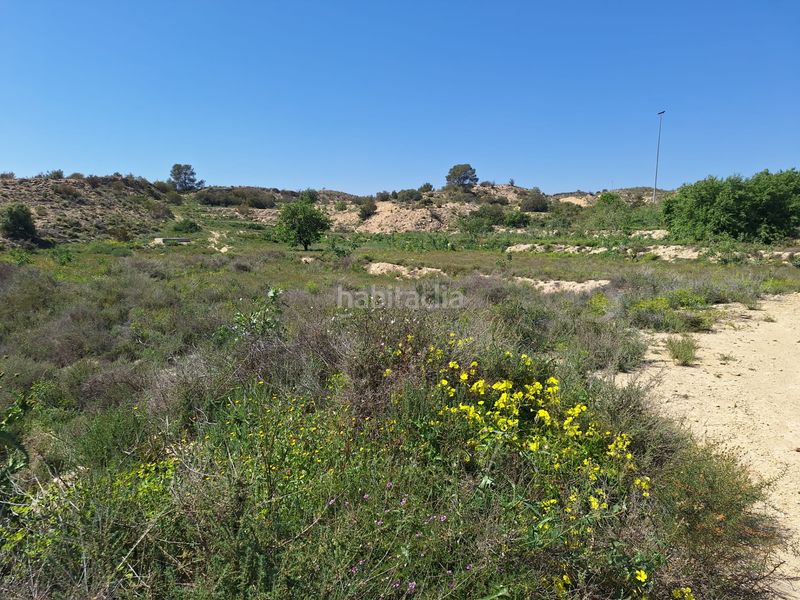 Foto 54689f4b-d4da-4bf8-ba3b-4f59a8d219b6. Finca rústica a Monforte del Cid