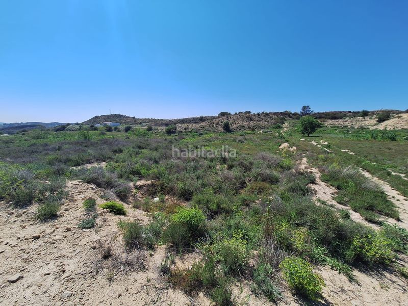 Foto 7004cca7-af86-448f-9b1a-425f5c31c4c2. Finca rústica a Monforte del Cid