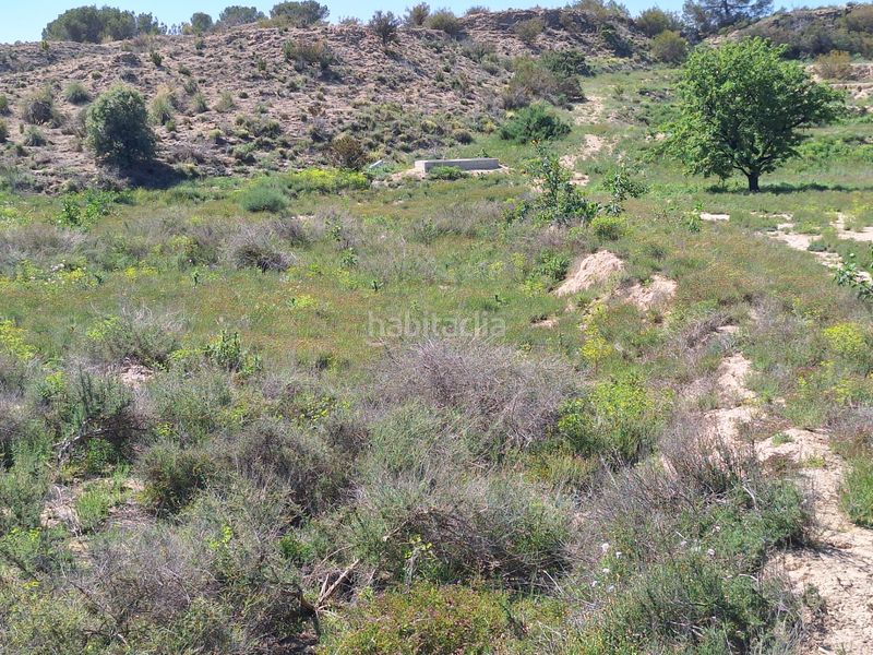 Foto 792c9b3e-a1c2-46af-804c-878e570fc99f. Finca rústica a Monforte del Cid