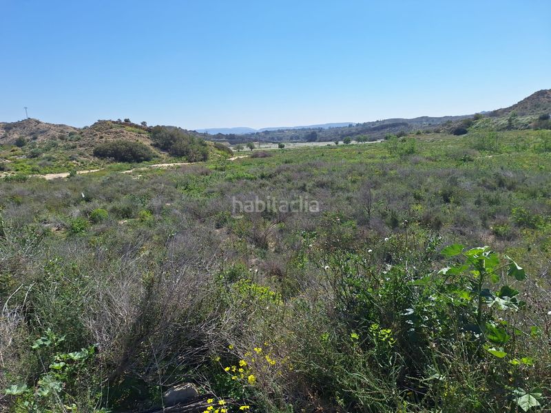 Foto 80497cce-871e-490a-8b57-6f33afaaa06f. Finca rústica a Monforte del Cid