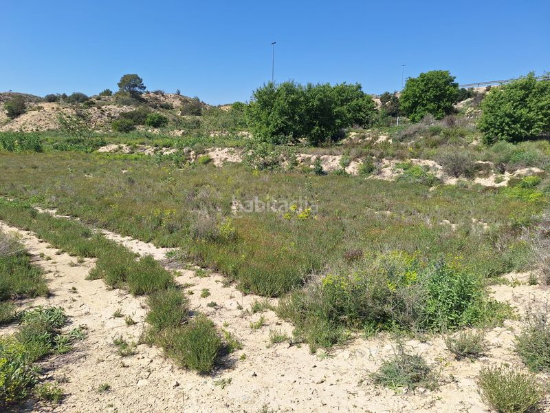 Foto 8709db2f-777e-415f-90c7-bee34f7e0c7c. Finca rústica a Monforte del Cid